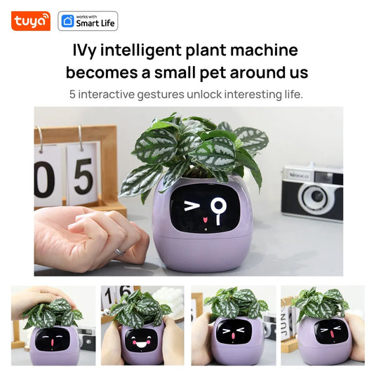 Ivy Tuya Smart Planter,Endless Fun Over 49 Rich Expressions,7 smart sensors,AI Chips Make Raising Plants Easy and Fun