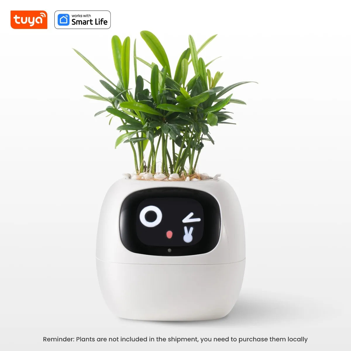 Ivy Tuya Smart Planter,Endless Fun Over 49 Rich Expressions,7 smart sensors,AI Chips Make Raising Plants Easy and Fun